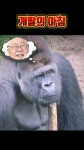자유시선 Jayu -Sisun - YouTube