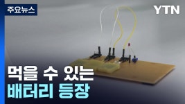 먹을 수 있는 배터리 개발!삼키는 의료기기 가능 - 특이점이 온다 마이너 갤러리