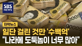 돈빼먹는 것들 천지삐까리 - 4년제 대학 갤러리 돈빼먹는  것들  천지삐까리 - 4년제 대학 갤러리