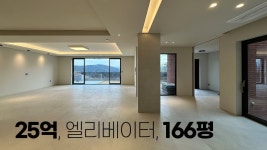 네이버 인플루언서 [네이버 인플루언서] 25억 용인, 수원 고급 단독주택 1순위, 상품성이 뛰어난 단독주택, 엘리베이터 시공
