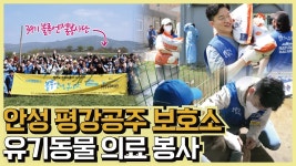 네이버 인플루언서 [네이버 인플루언서] 유기동물 의료 봉사 다녀왔어요｜안성 평강공주 보호소 (ft. 블루엔젤봉사단 39기)