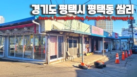 평택도 사람없네 - 도시 갤러리