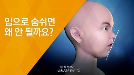 코로 숨쉬어야하는 이유 - 트와이스 유튜브 마이너 갤러리