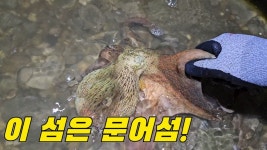 네이버 인플루언서 [네이버 인플루언서] 잡기 어렵다는데 안면도 섬에가면 드글드글 합니다! +먹방 /15만구독자이벤트 ft.소라잡는댕댕이펜션