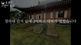 고양이뉴스- 두창부부가 청와대에 2억9천 대파밭 만듦 - 중도정치 마이너 갤러리