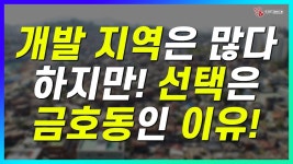 네이버 인플루언서 [네이버 인플루언서] 그 많은 개발 지역 중 많은 선택이 금호동인 이유는?_서울 금호동_지역브리핑_134기 D조_유경순 대표... 