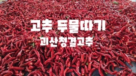 네이버 인플루언서 [네이버 인플루언서] 고추 두물따기 괴산청결고추 자연특별시괴산 풀뿌리농장 (고추재배방법)