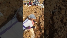 여주 슬기농장 이야기 - YouTube