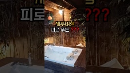 네이버 인플루언서 [네이버 인플루언서] 제주 여행 피로 싹 풀어주는 한림 자쿠지숙소 #스테이돌덕