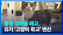 경축) 공공형 고양이 보호분양센터 개소 - 야옹이 갤러리