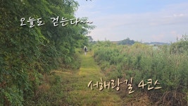 네이버 인플루언서 [네이버 인플루언서] 서해랑길 4코스 해남구간 코리아둘레길 #서해랑길 #코리아둘레길 #걷기여행 #뚜벅이여행 #해남여행