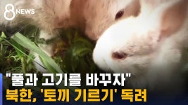 북괴에도 닭이 은근 많긴하네 - 군사 마이너 갤러리