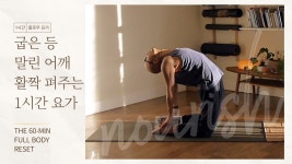 [네이버 인플루언서] 닫힌 가슴을 열고, 지친 마음에 숨을 불어넣는 1시간 요가 처방전 | 건강과 웰니스를 위한 힐링 운동 | 요가소년 552