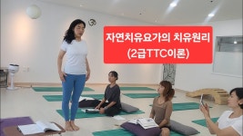 네이버 인플루언서 [네이버 인플루언서] 자연치유요가의 치유원리(2급전문가 줌이론 일부)