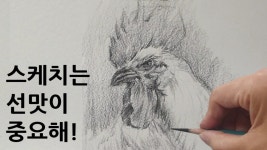 네이버 인플루언서 [네이버 인플루언서] 닭 그릴때 연필 선 쓰는 방법 - 초보자를 위한 기초드로잉 | 미술수업공개