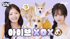 냥냥이 리즈의 코기 애정 쟁탈전 | [멍&냥] 레이 & 리즈 - 레이 마이너 갤러리