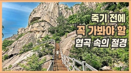 네이버 인플루언서 [네이버 인플루언서] 죽기 전에 꼭 가봐야 할 천하제일 비경 / 강원도 동해시 두타산, 무릉계곡, 베틀바위, 12산성폭포, 마천루... 