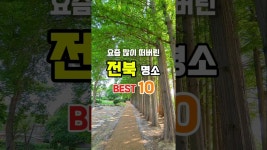 여러번 소개되서 많이 떠버린 전북명소베스트10  #전북특별자치도 #전북여행 #전북가볼만한곳 #아가페정원 #전주여행 #완주화산꽃동산 #고창여행