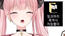 오리고기 이틀연속 허츄 고로시 - 허니즈(프로젝트 아이) 마이너 갤러리