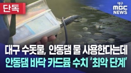 대구가 구미 물을 쓰자니 기업이 쓸 물이 없고 안동댐을 쓰자니... - 도시 갤러리
