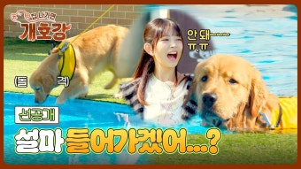 [선공개] 집 나가면 개호강 1화 - 1,2,3 아이브 마이너 갤러리