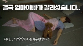 네이버 인플루언서 [네이버 인플루언서] 결국.. 꼬니 엄마 아빠가 갈라섰습니다.. 그런데 꼬니 반응을 보고 깜작 놀랐습니다...