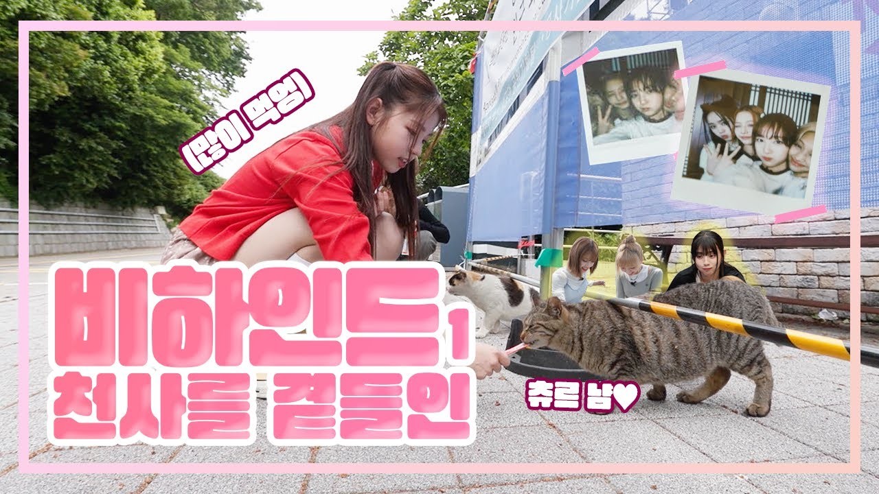 신예 그룹 유니스, 1주년 맞아 2025 유니스 팬콘 아시아 투어 인 서울 개최