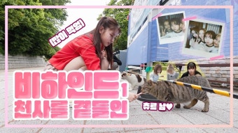 신예 그룹 유니스, 1주년 맞아 2025 유니스 팬콘 아시아 투어 인 서울 개최