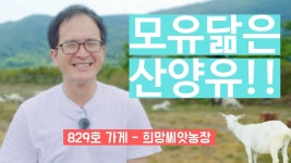 [마을지기가간다] 희망씨앗농장 | Doovi [마을지기가간다] 희망씨앗농장