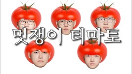 티마토단 가입할 도붕이들아 이 노래 같이 부르자 - 도란(최현준) 마이너 갤러리