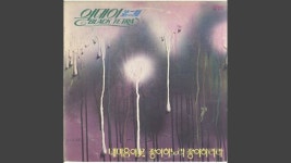 Y.M.C.A - 열대어: Song Lyrics, Music Videos & Concerts