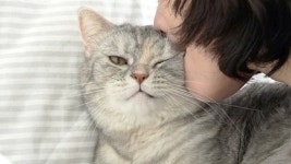 네이버 인플루언서 [네이버 인플루언서] 1000년 만에 티티를 깨물어줬습니다