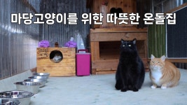 마당 고양이를 위한 따뜻한 온돌집 - 기타 국내 드라마 갤러리