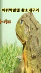 코파 - YouTube