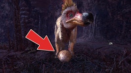 이런근본없는좆망겜 말고 몬헌해봐 - 바람의 나라 갤러리