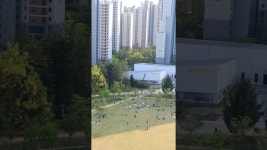 네이버 인플루언서 [네이버 인플루언서] 전주 피크닉 데이트 명소 에코시티 세병호 세병공원 산책