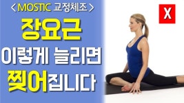 허리나연구소 | 네이버 인플루언서 [네이버 인플루언서] 모스틱 자세연구소의 장요근스트레칭