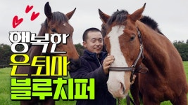 한국의 자랑 블루치퍼 - 우마무스메 마이너 갤러리