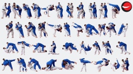 Gokyo-no-Waza 80 Throws - 유도 마이너 갤러리