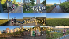 네이버 인플루언서 [네이버 인플루언서] [4K] 김포여행추천 DMZ평화의길 3-1코스 코리아둘레길