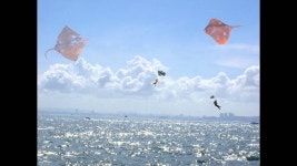 영광굴비..어찌 네가 ... 그맛을...알겠느냐... - 전자화폐 마이너 갤러리