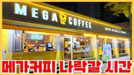 정보의 신 메가커피편 - 백종원의 골목식당 갤러리