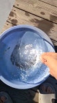 다희피터아리 - YouTube