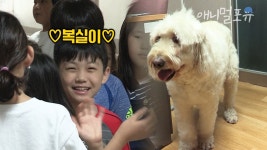 #반려동물교육시설 - YouTube