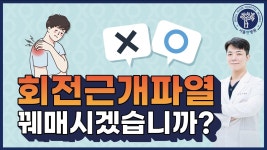 #세종시관절 - YouTube