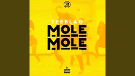 Mole Mole - TeeBlaq | Shazam Mole Mole - TeeBlaq