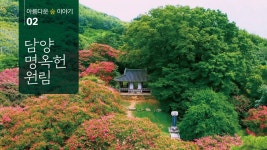 아름다운 숲 이야기 #2 담양 명옥헌 원림 - YouTube 아름다운 숲 이야기 #2 담양 명옥헌 원림