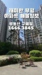 부동산구해줘 - YouTube