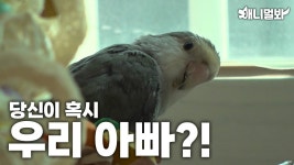 동물농장 한녀앵무새 올라왔긔 - 남자 연예인 갤러리