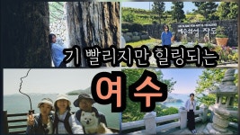네이버 인플루언서 [네이버 인플루언서] 반려견과 가기 좋은 여수 가볼만한 곳 - 장도, 바다김밥, 무슬목해변,향일암